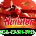 888sua Cash Pro