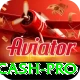 888sua Cash Pro