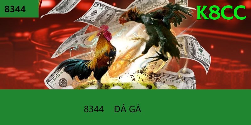 Đá Gà Trực Tiếp - k8cc - Arena